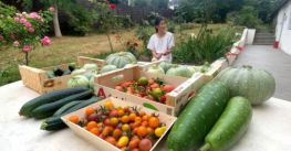 Khu vườn 2.500 m2 trồng toàn loại cây trái khổng lồ của mẹ Việt
